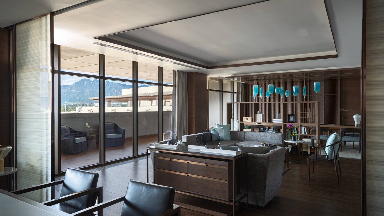 总统套房 - 起居区